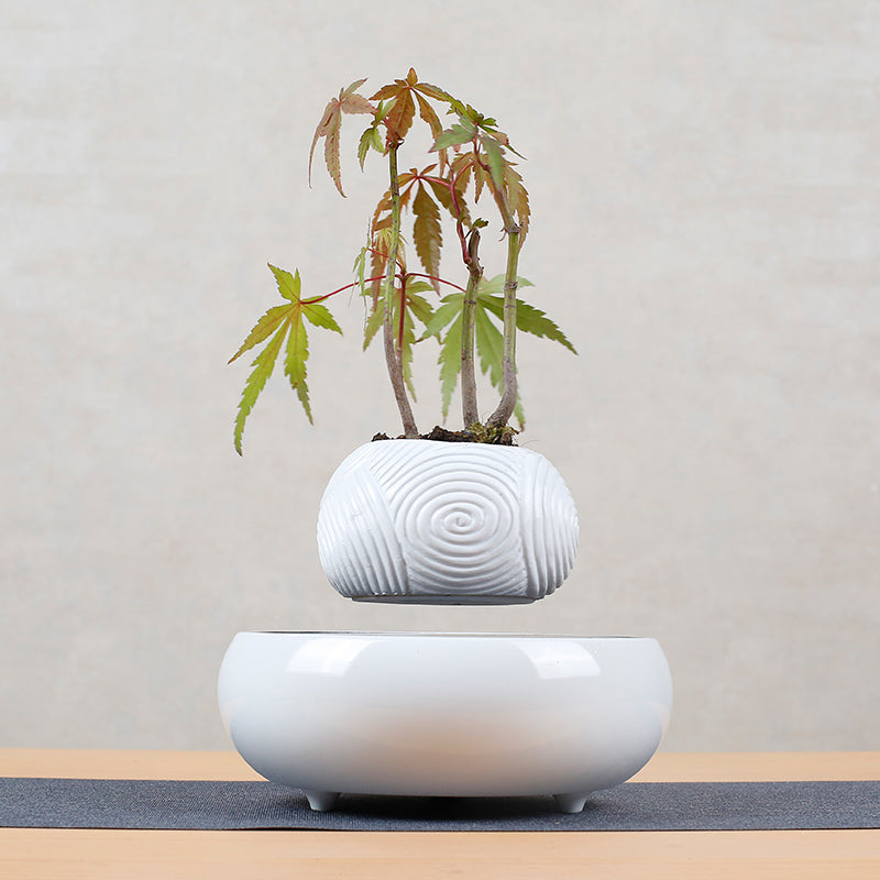 Magnetic Levitating Floating Plant Pot - Unique Home Decor