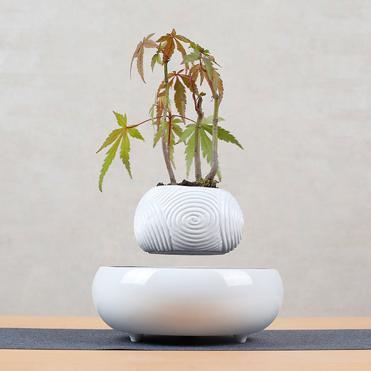 Magnetic Levitating Floating Plant Pot - Unique Home Decor