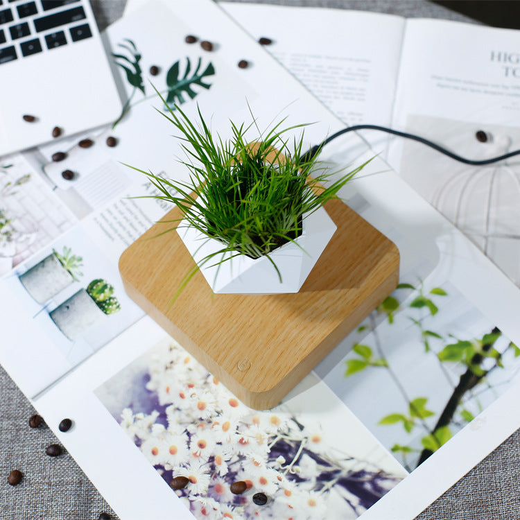 Polygon Magnetic Levitation Plant Pot - Unique Home Decor