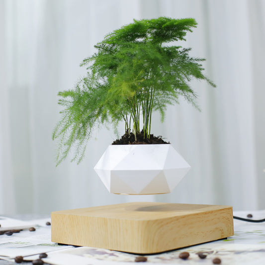 Polygon Magnetic Levitation Plant Pot - Unique Home Decor