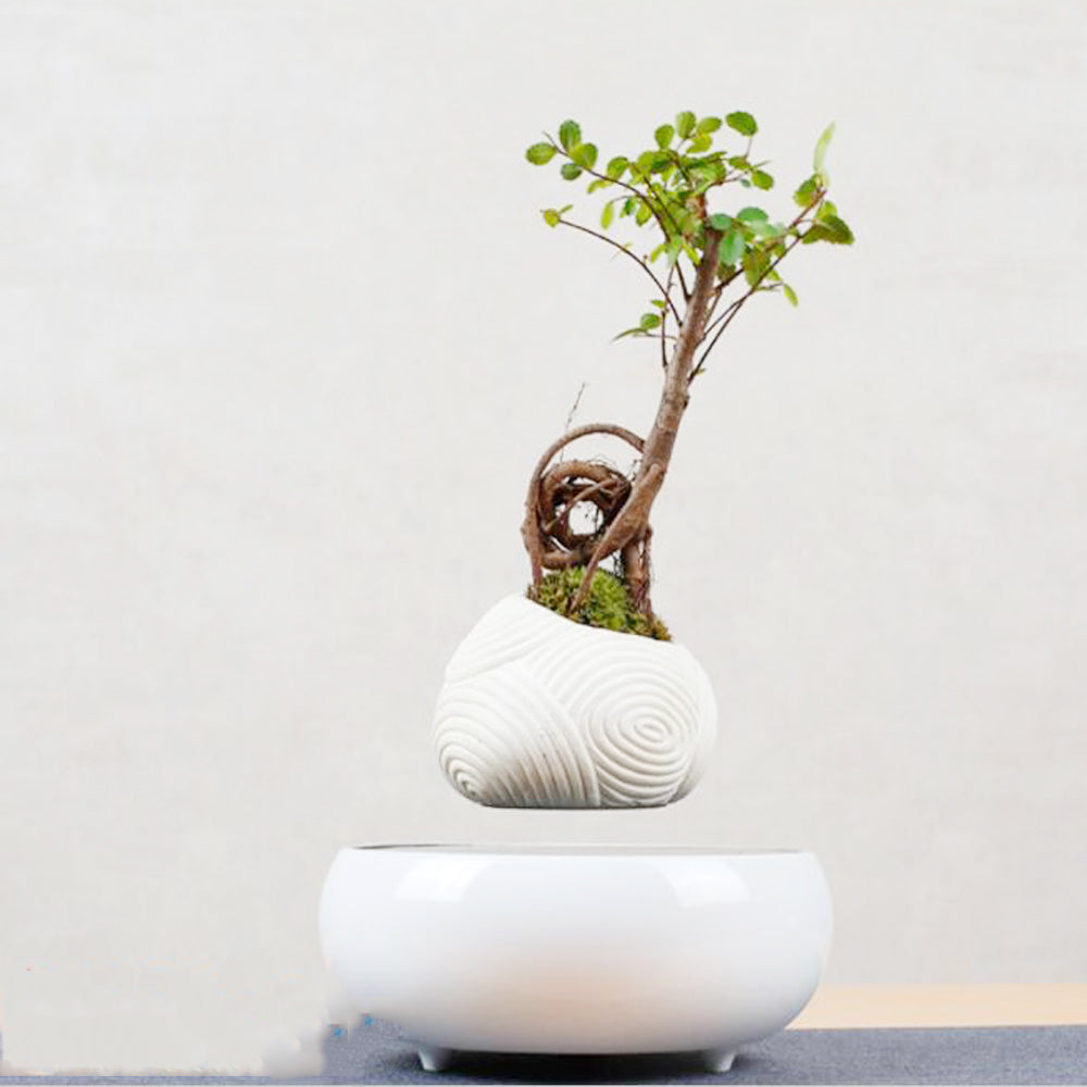 Magnetic Levitating Floating Plant Pot - Unique Home Decor