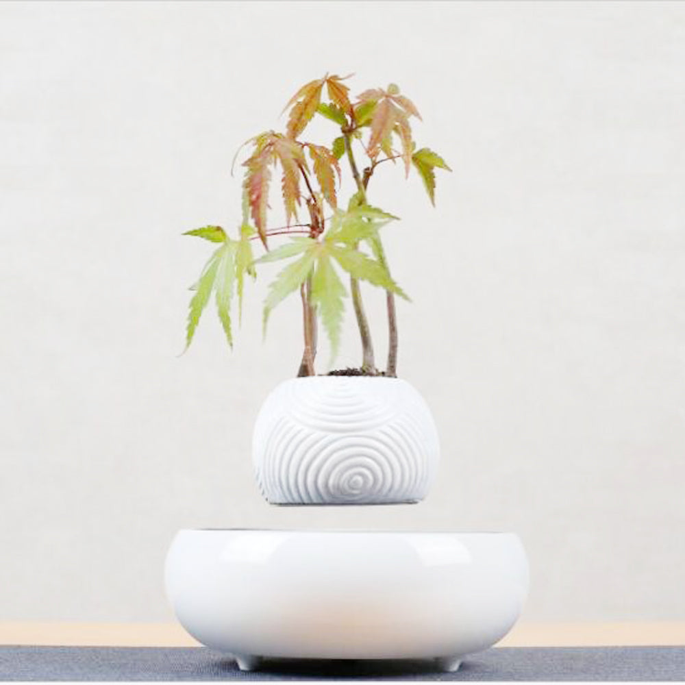 Magnetic Levitating Floating Plant Pot - Unique Home Decor